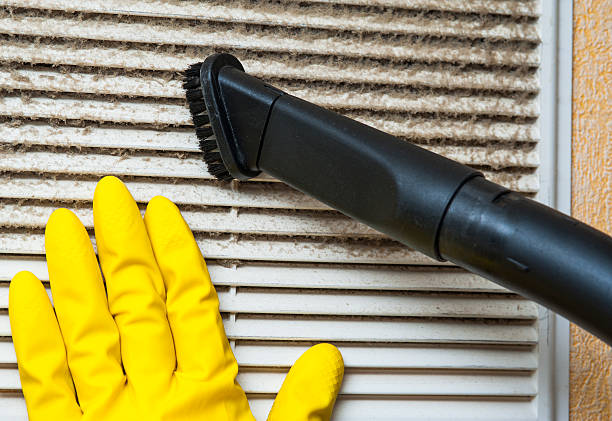 Best Air Duct Mold Removal  in Randolph, NE