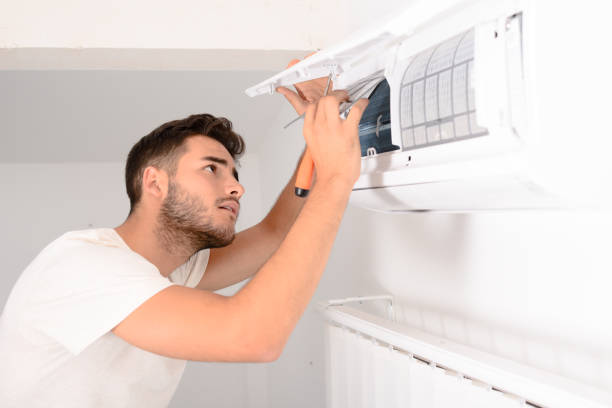 Best Air Duct Sanitizing Services  in Randolph, NE